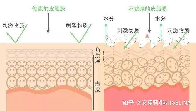 护肤品行业动态：面对未来的新挑战与机遇
