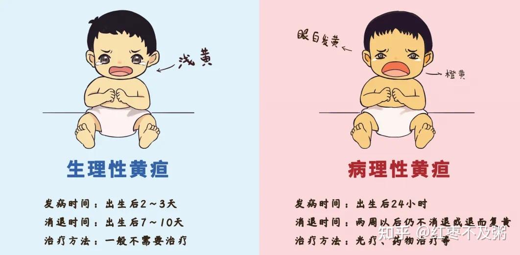 婴儿为什么会有黄疸 婴儿为什么会有黄疸