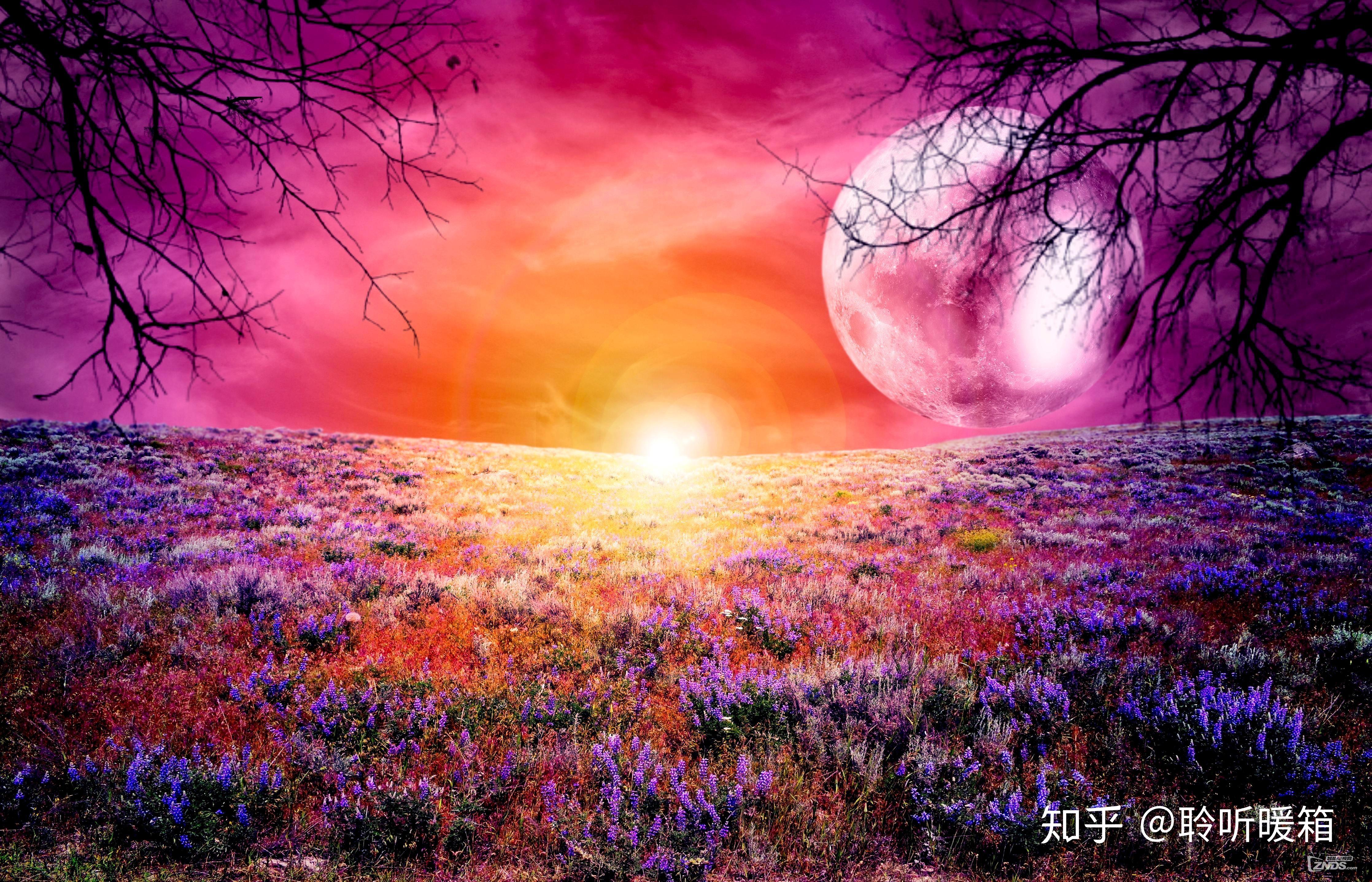 v2-f04ef557ff392e1a4396907568bad7c8_r.jpg