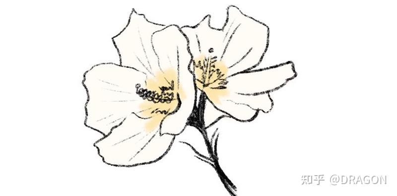 要知道它可是拥有强大的生命力,有着"沙漠玫瑰"之称