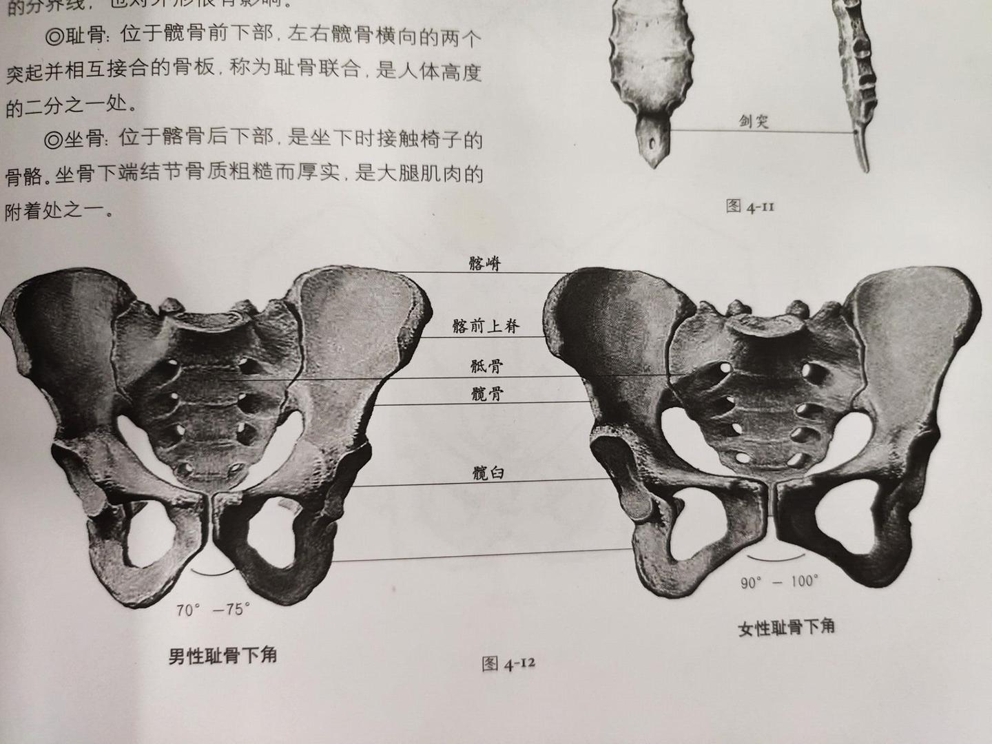 最近群内的答疑整理
