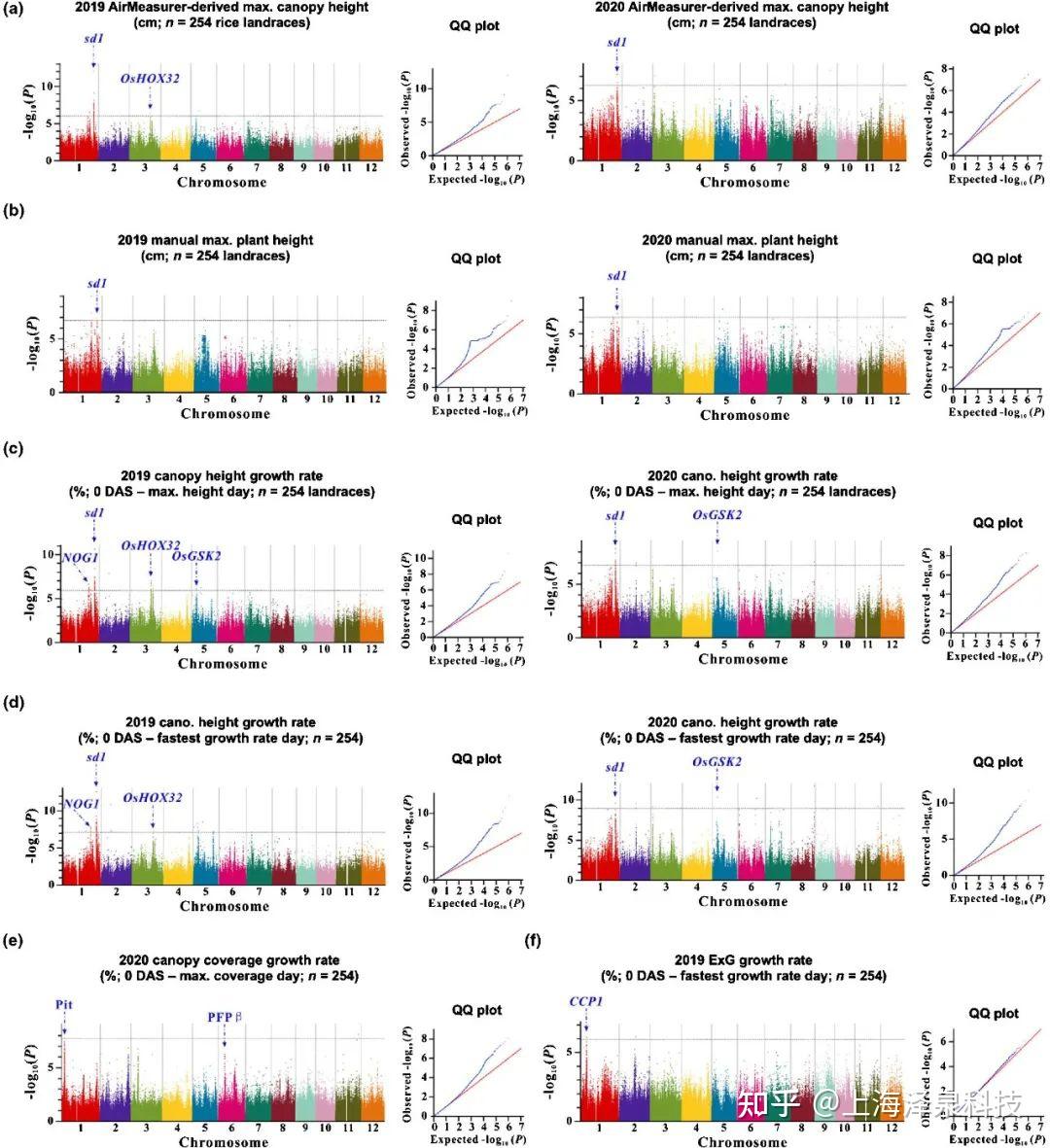 AirMeasurer：多点多季田间水稻动态表型分析与关键农艺性状的基因位点关联分析 - 知乎