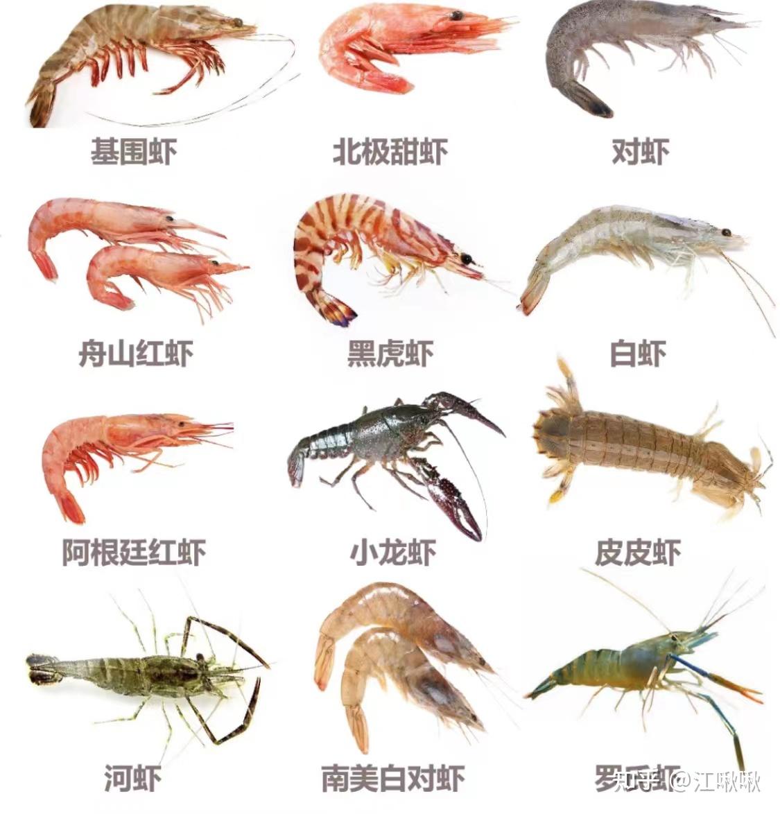 深海虾和淡水虾有什么区别