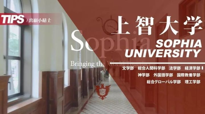 出愿tips丨上智大学学部报考指南 知乎