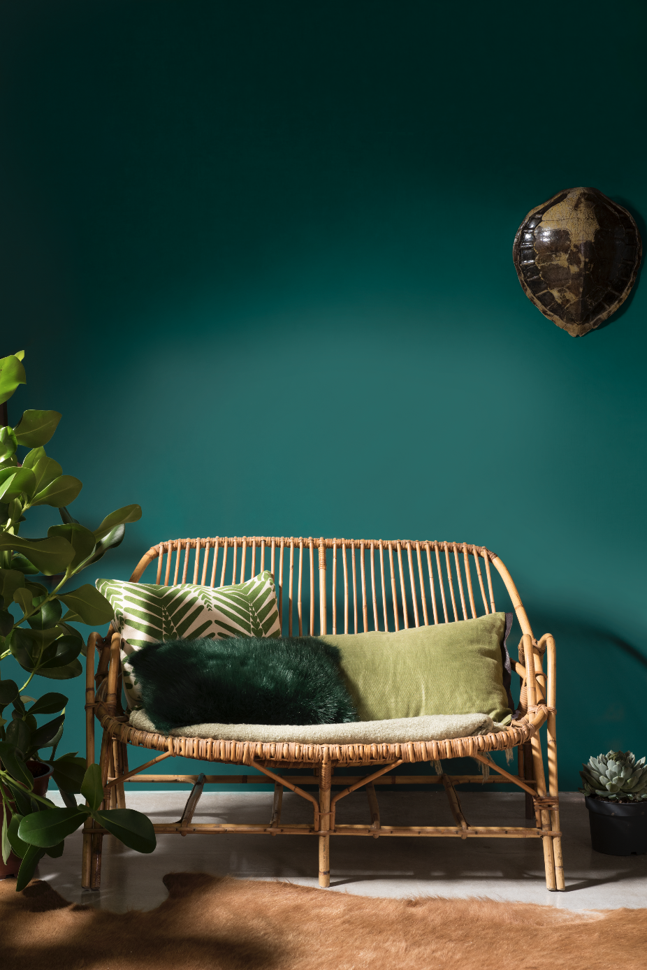 如何把家里装修成热带雨林风格? - 知乎