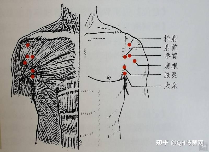 岐黄针疗法治疗肩关节痛临床体会 - 知乎