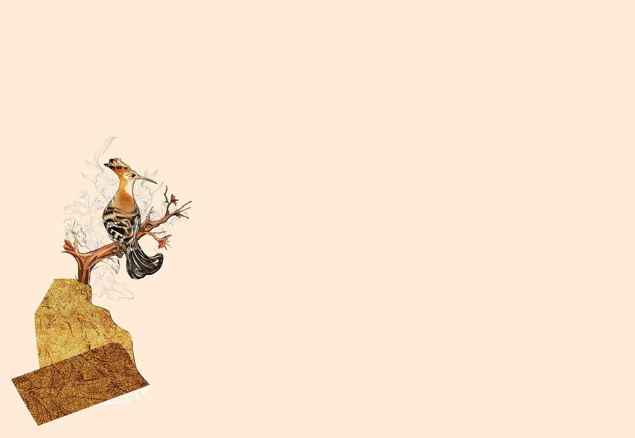 窗外的和谐景象