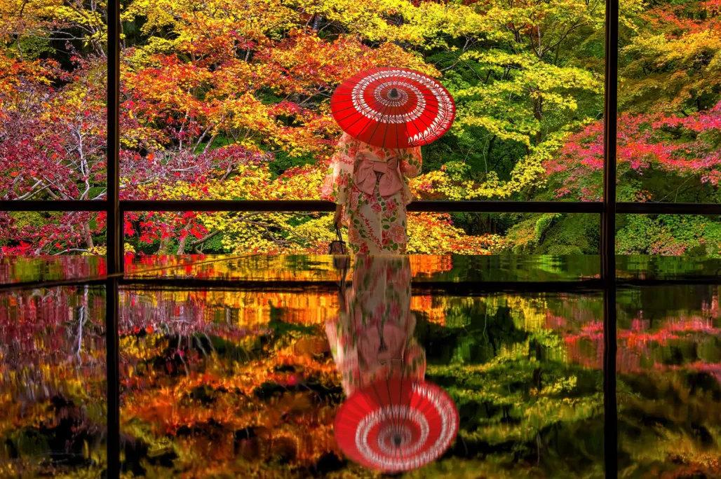 日本红叶又要刷屏了 3条线路 躲避人潮静享 枫 景 知乎