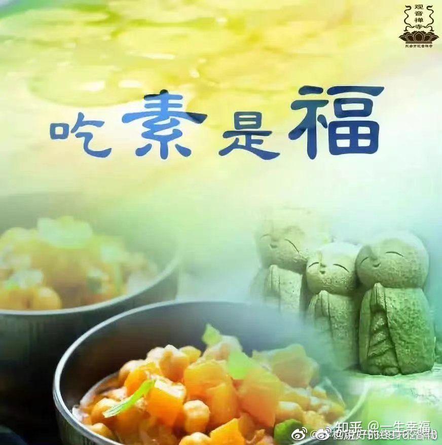 石头dao推广一日一素