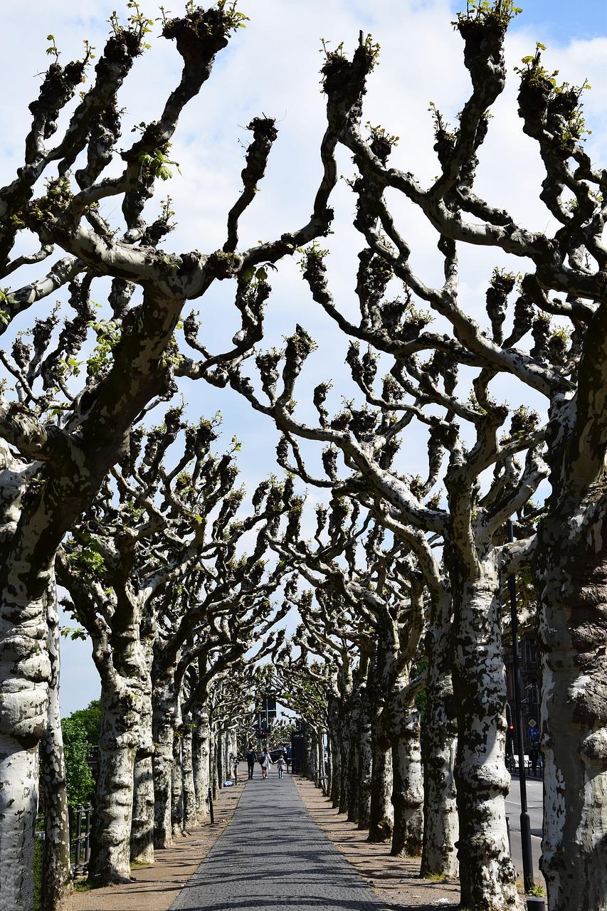 吴楚大道配套齐全