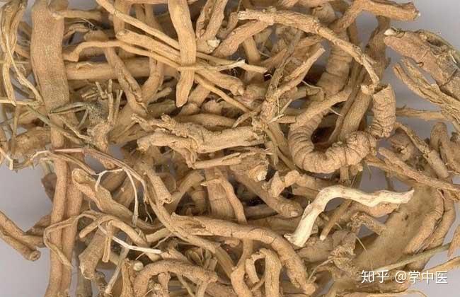 三味中药这么泡茶喝