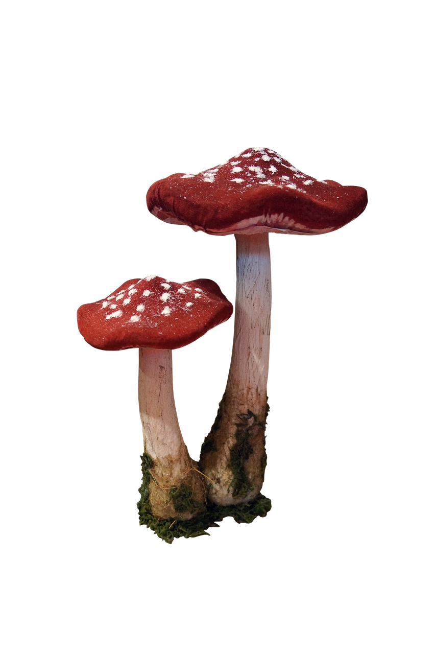 4. 毒植售价查询