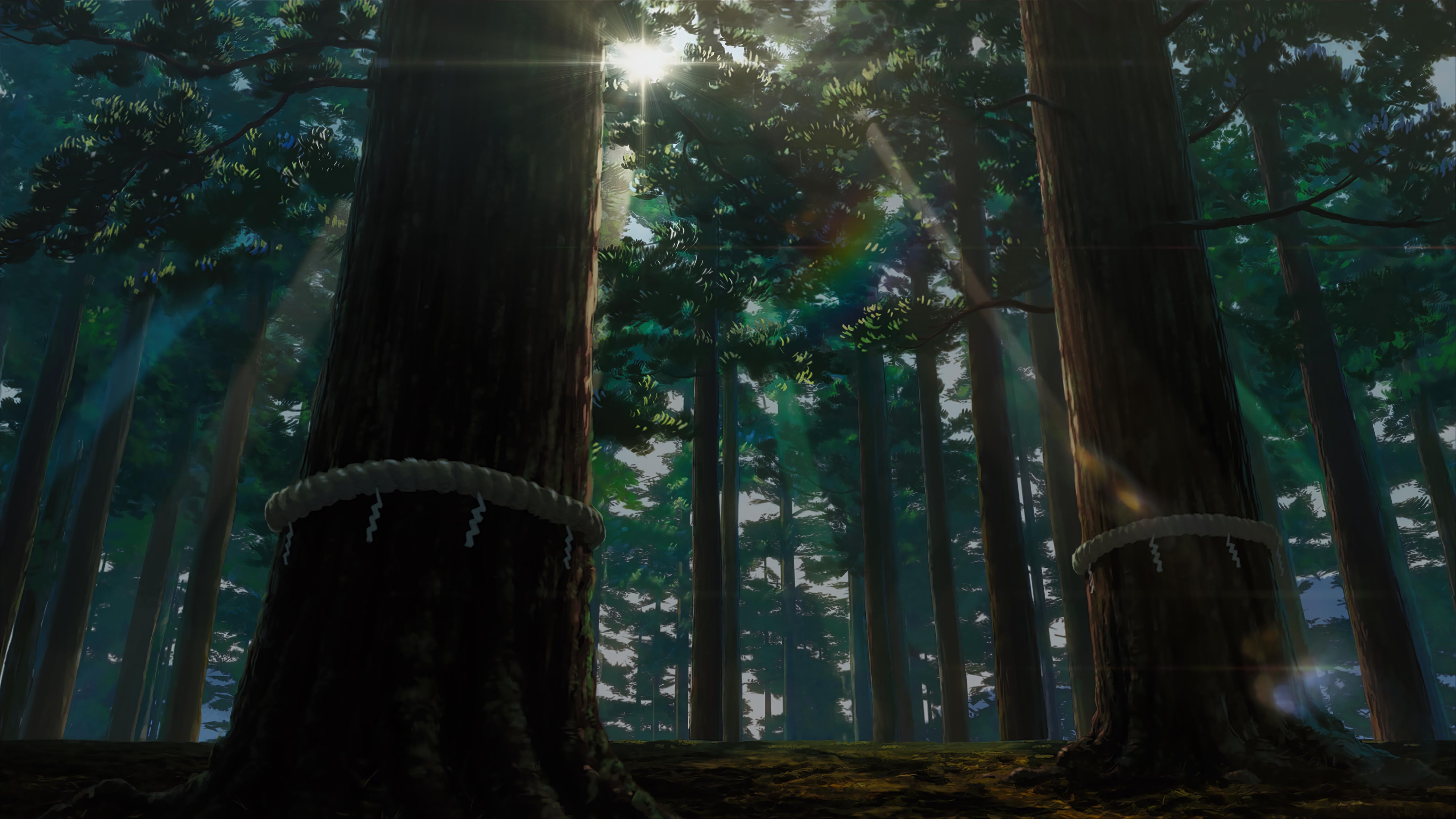 有没有你一看就觉得仙气四溢的壁纸