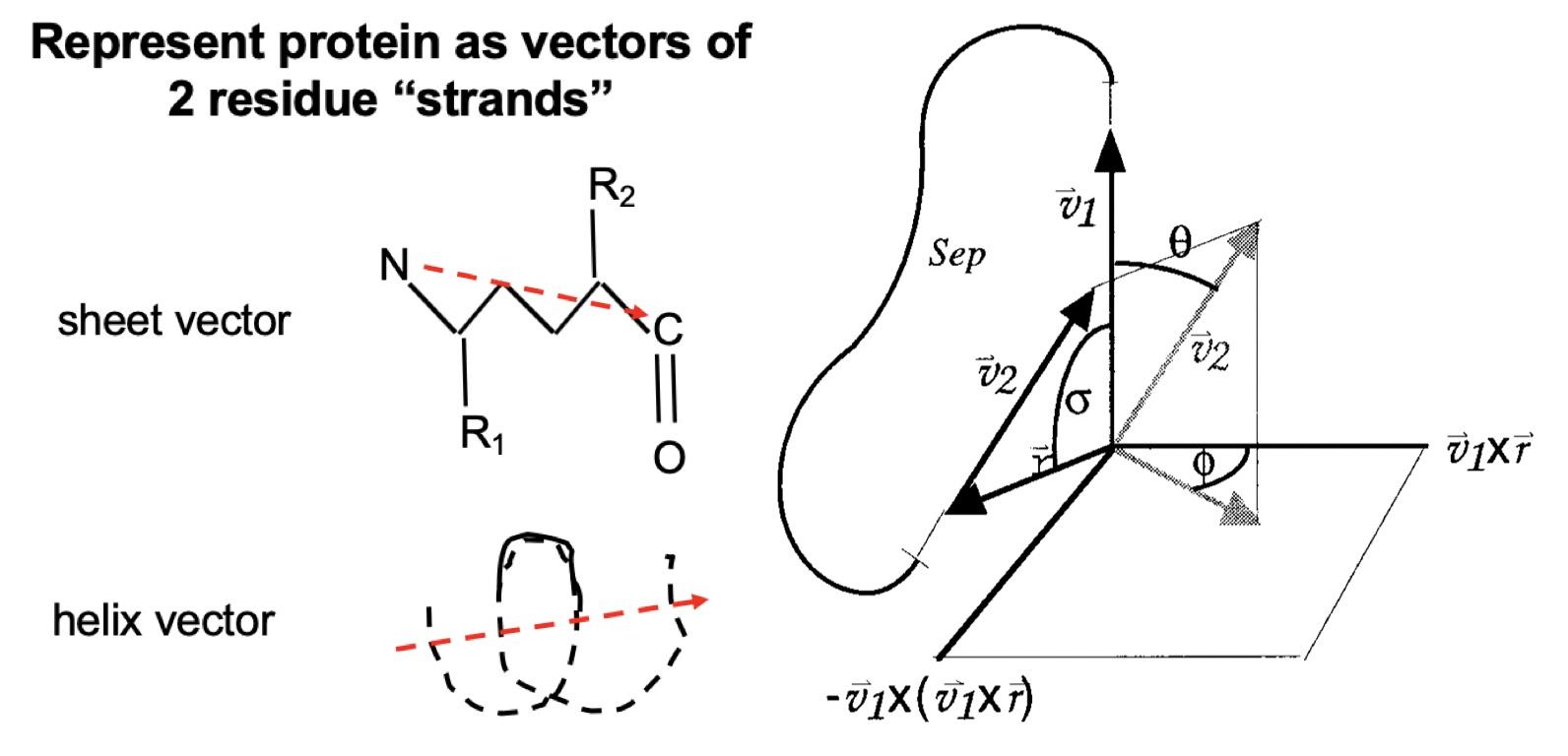 rosettacentroid打分函数简介