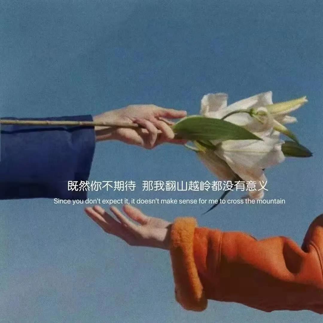 优质情感文案精选高质量情感文案句子