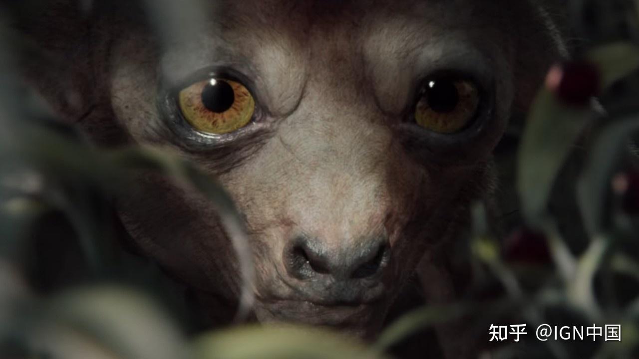 细数那些在猎魔人真人剧里出现的怪物