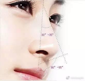 什么样的鼻子最好看 知乎