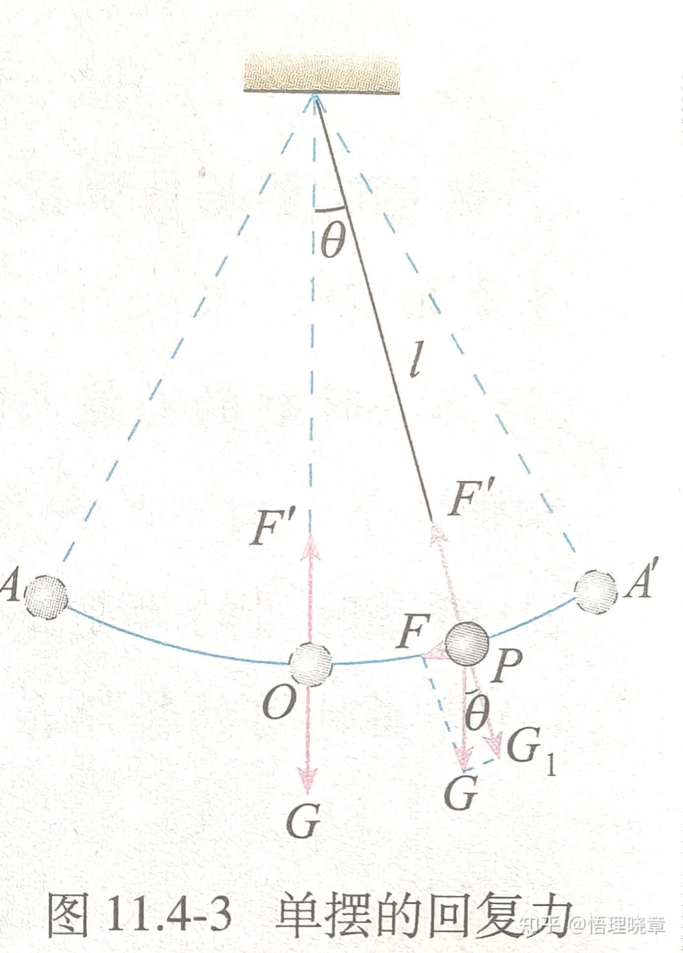为什么单摆可看作简谐运动?