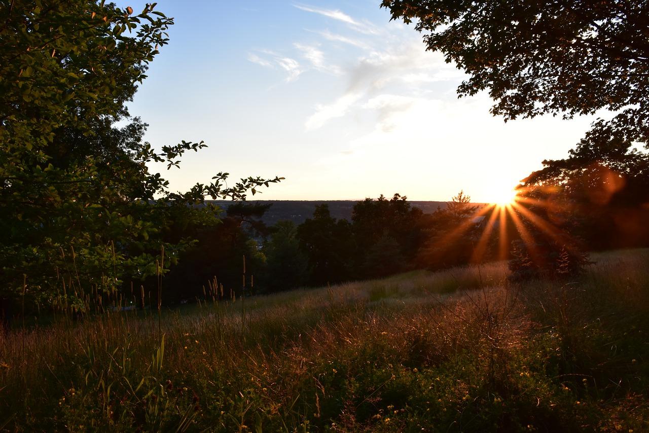 瓜果飘香,五彩斑斓点缀秋日景