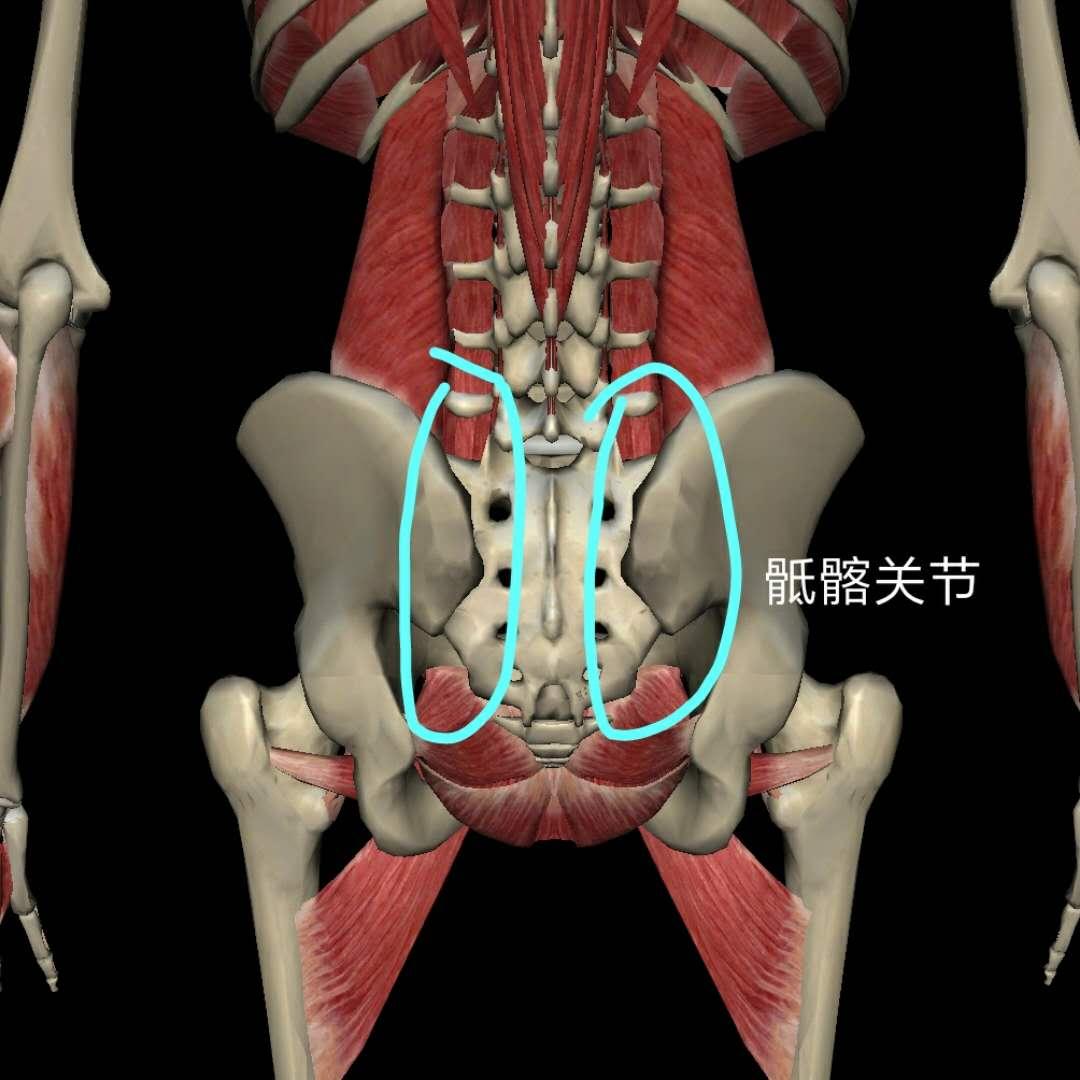 瑜伽中,卷尾骨到底正不正确? 