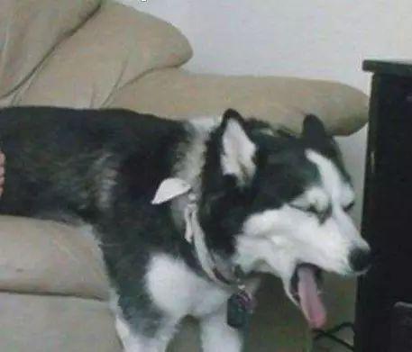 如何看待肯德基蛋挞标出0元售价后,顾客点50个