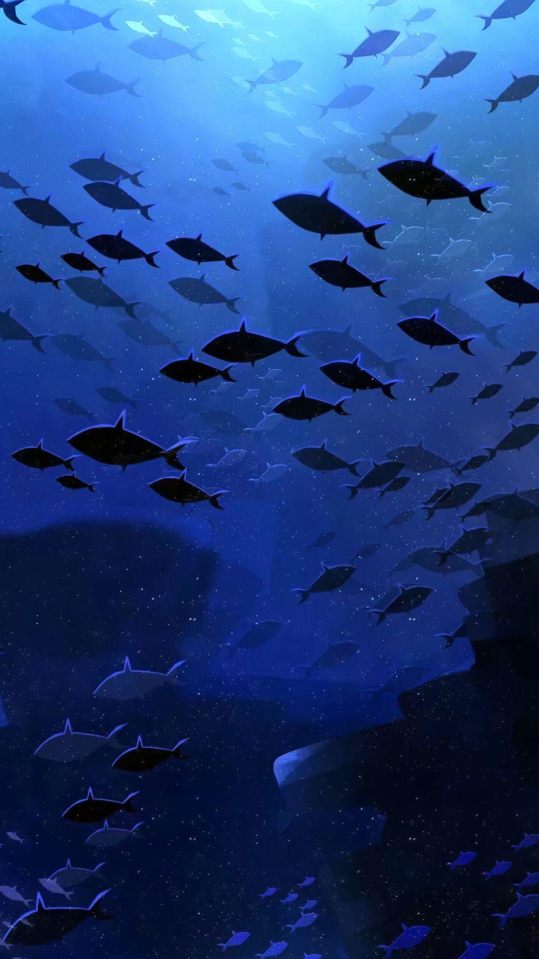 有没有包含了深海和蓝鲸的全屏壁纸? - 知乎