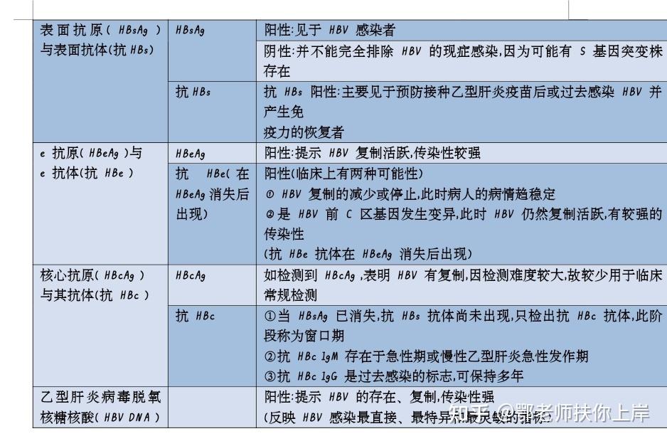 抗 hav 阴性者均易感,感染后免疫力可持续终身(2)肝炎病毒病原学(标志