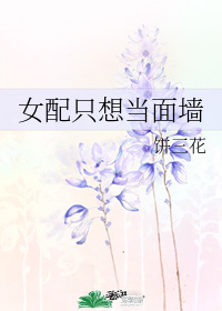 图标
