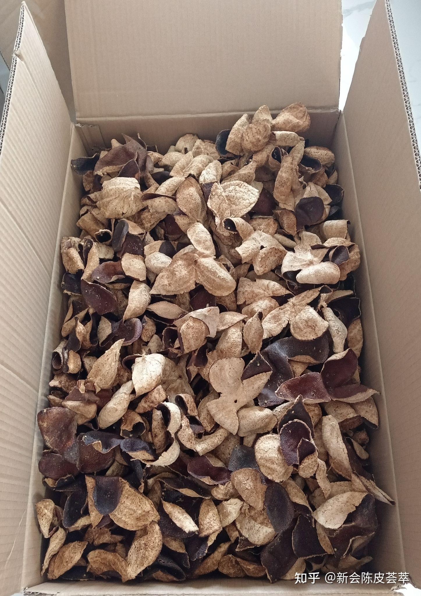 【老树圈枝】新会陈皮一线产区东甲 - 知乎