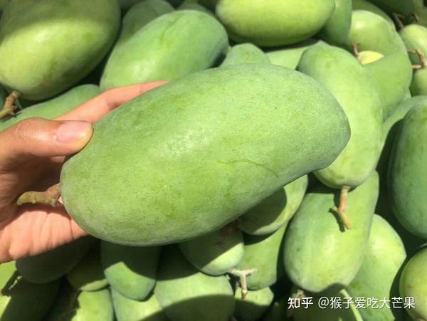 攀枝花芒果你最喜欢的是哪一个品种 - 知乎