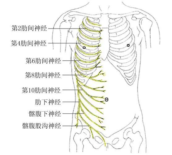 统计称中国每年有近300万成年人受带状疱疹影响诱发带