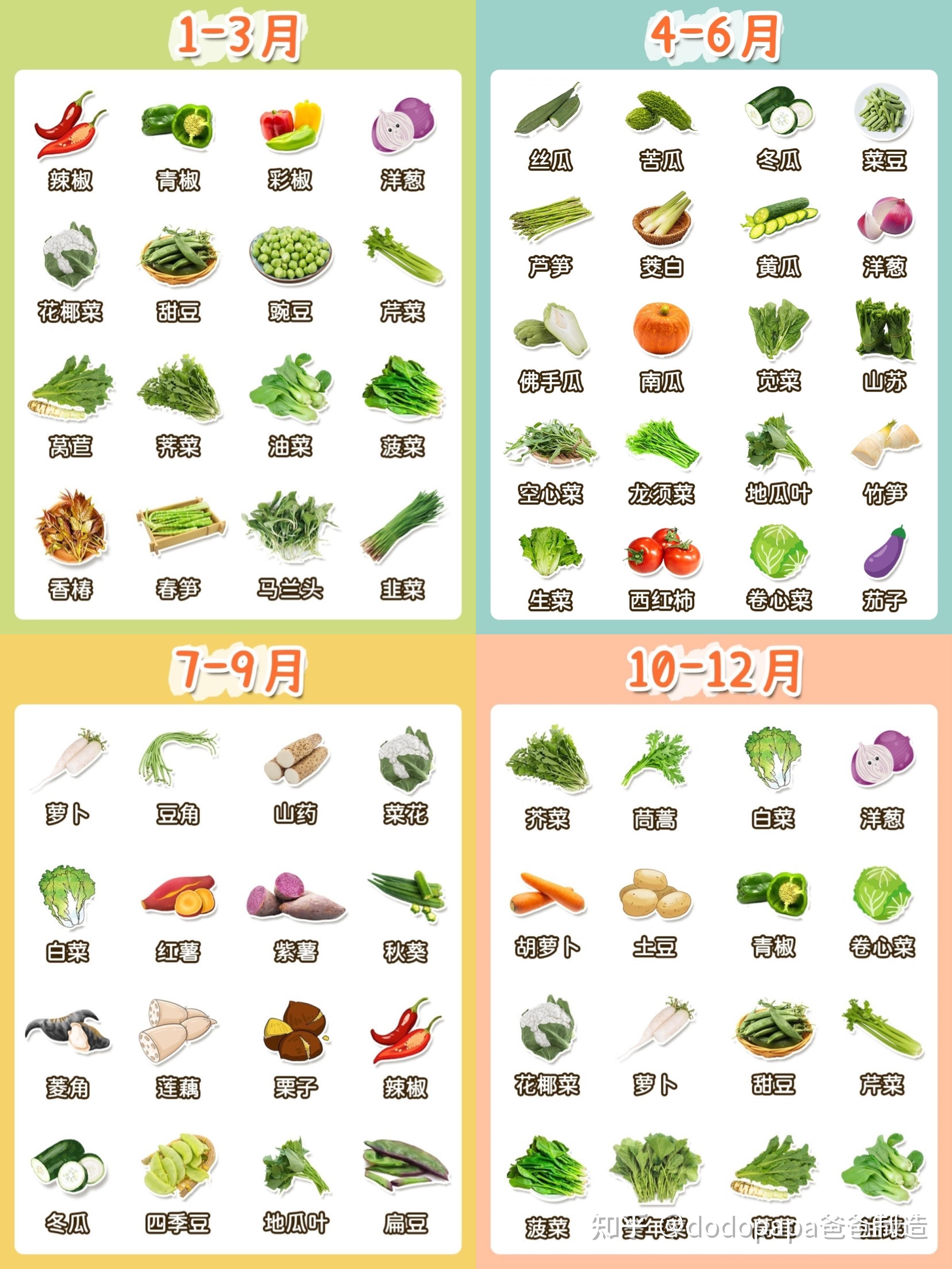 四季应季蔬菜时间表设计图__展板模板_广告设计_设计图库_昵图网nipic.com