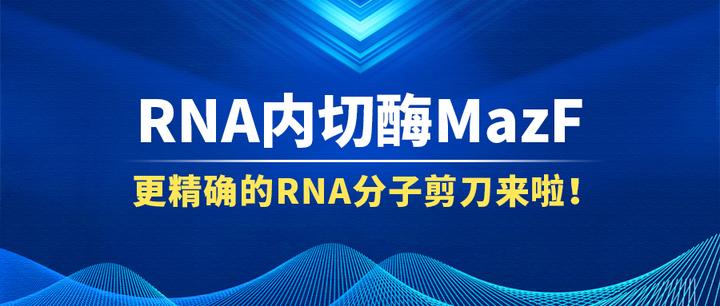 更精确的RNA分子剪刀来啦！ - 知乎