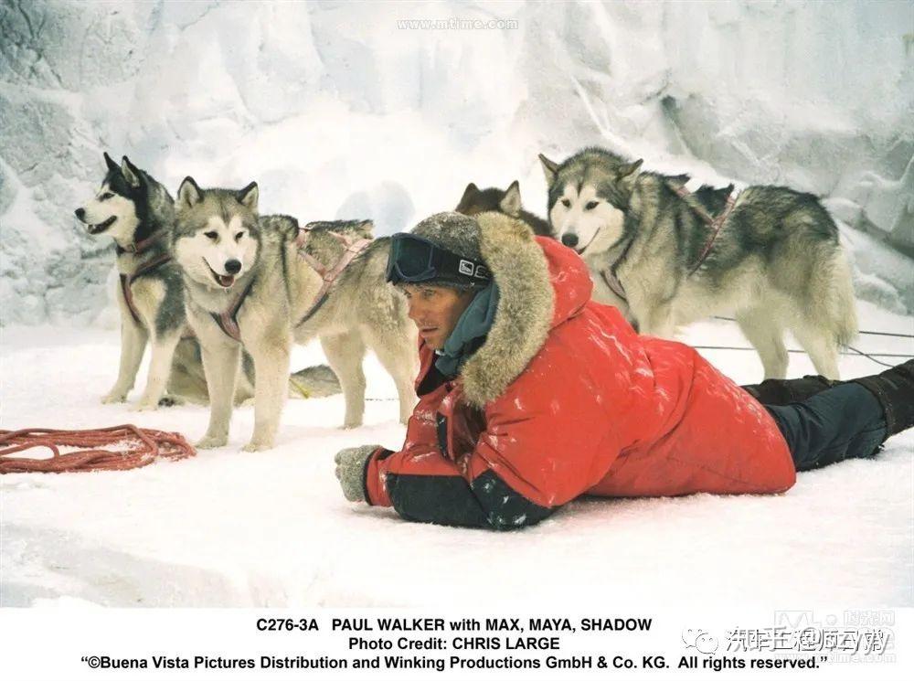[电影分享] 《南极大冒险 eight below》