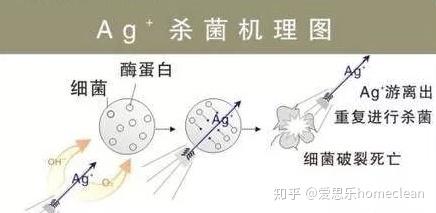 知乎专栏