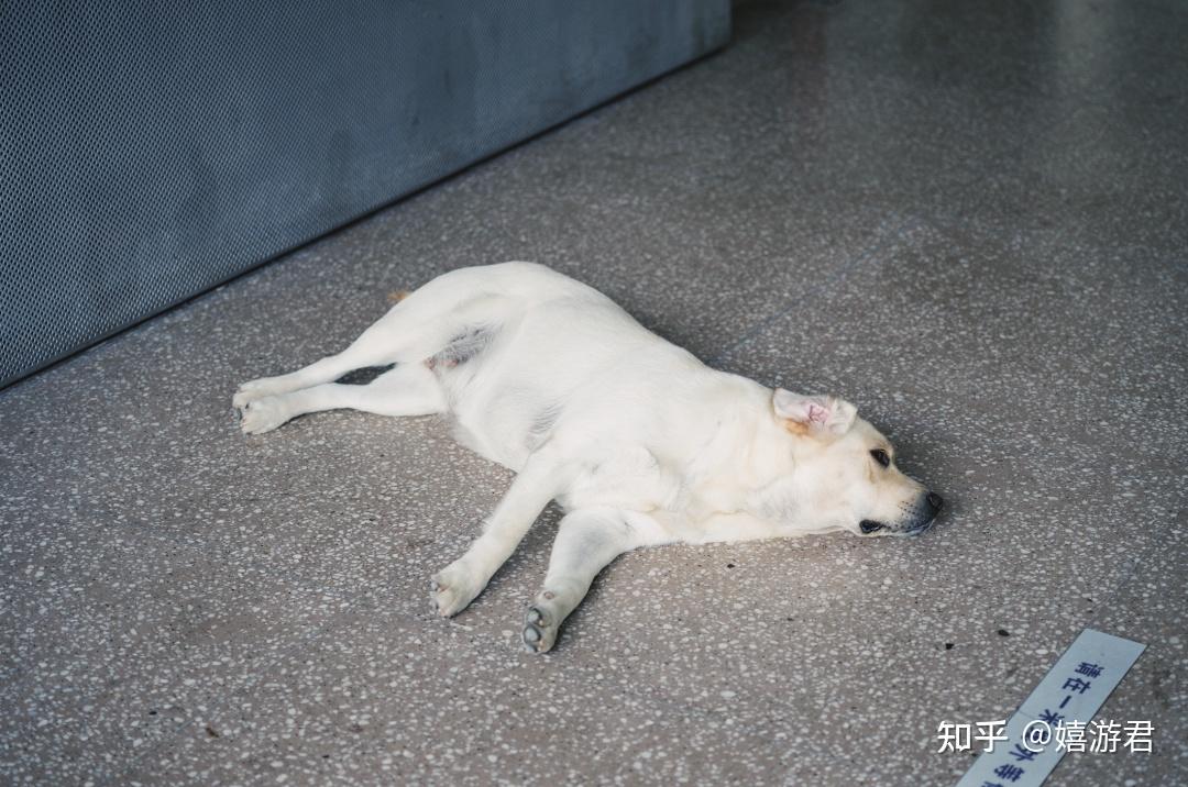 阿那亚,怎么住?-阿那亚住哪