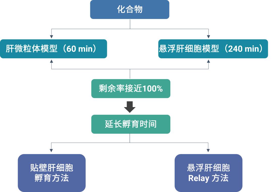 如何采用体外代谢模型研究慢代谢化合物 - 知乎