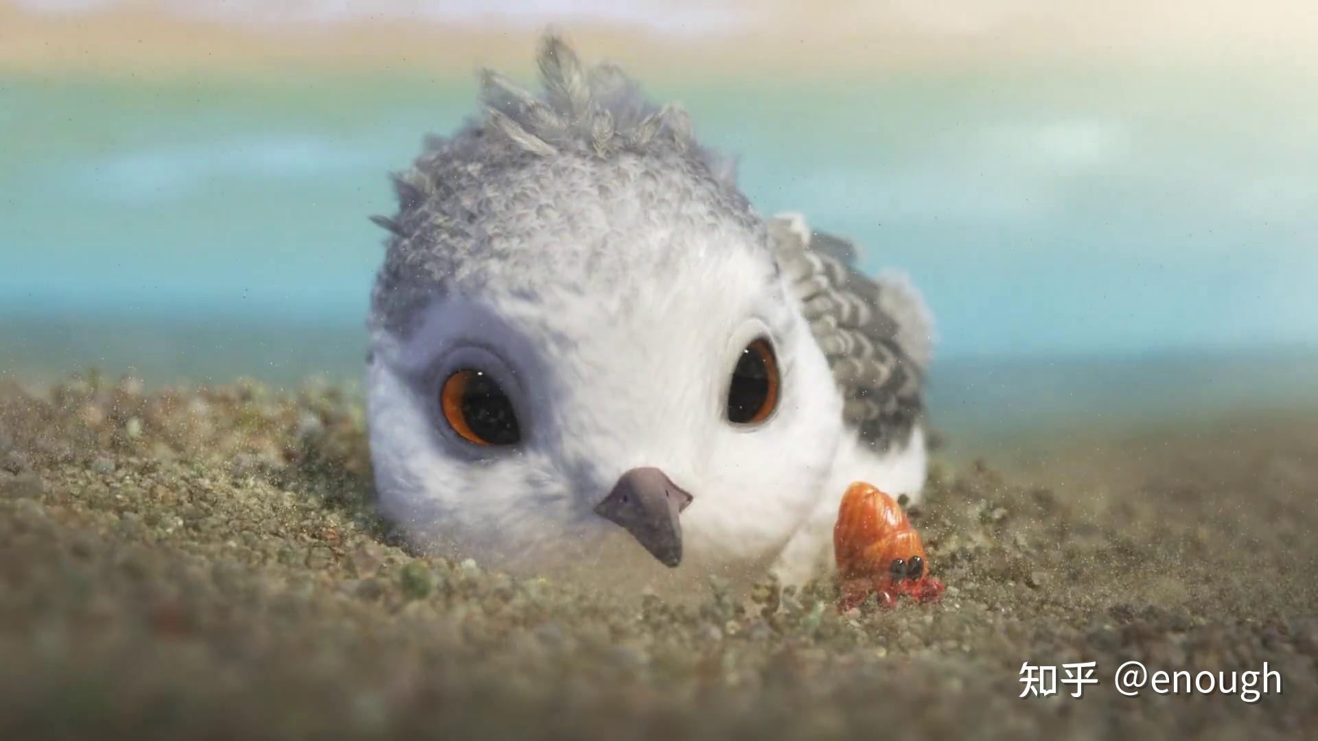 奥斯卡最佳动画短片《鹬》（Piper）:不仅对孩子们而且对我们成年人来说都是一堂美妙的课 - 知乎