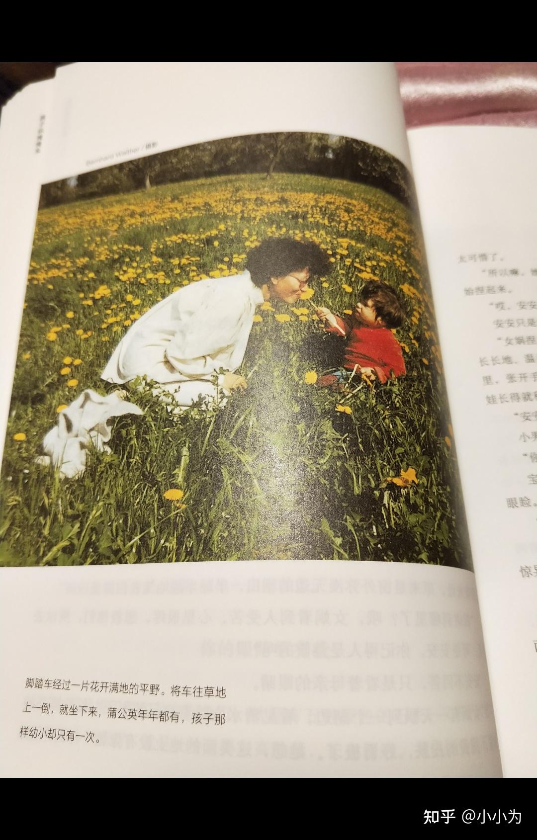 龙应台"人生三书"之一《孩子你慢慢来》经典语录,戳中无数父母