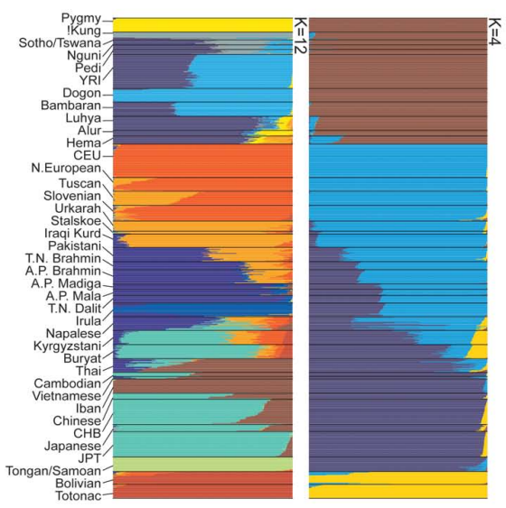 如何评价@蔺且的这篇充斥民粹甚至纳粹血统论的回答? - 知乎