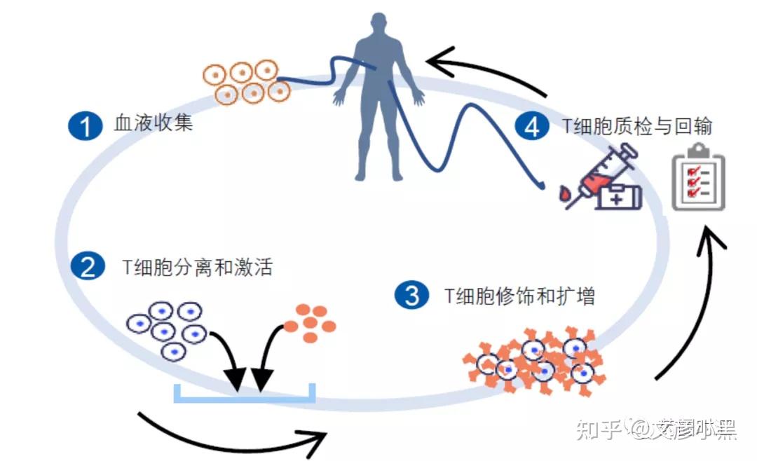 【行研】car-t细胞治疗(一):行业概况和痛难点 - 知乎