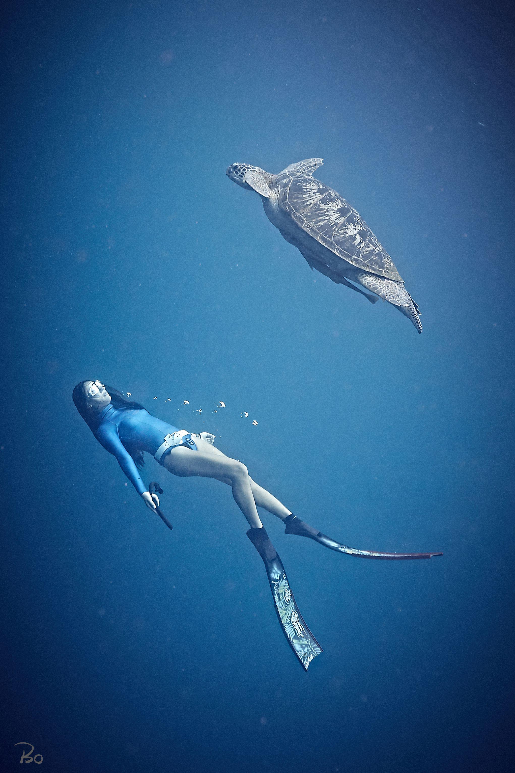 自由潜水水下摄影师是什么角色? - 知乎