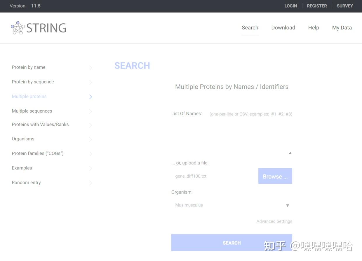 RNAseq入门实战（九）：PPI蛋白互作网络构建（上）——STRING数据库的使用 知乎