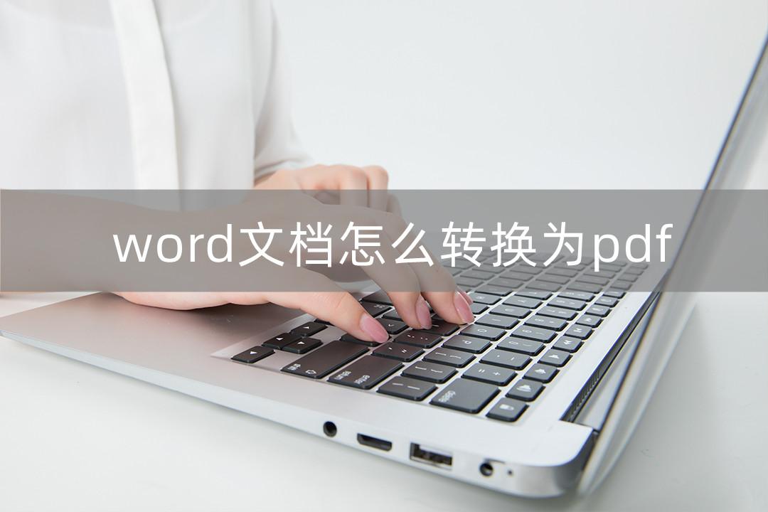 Word pdf 