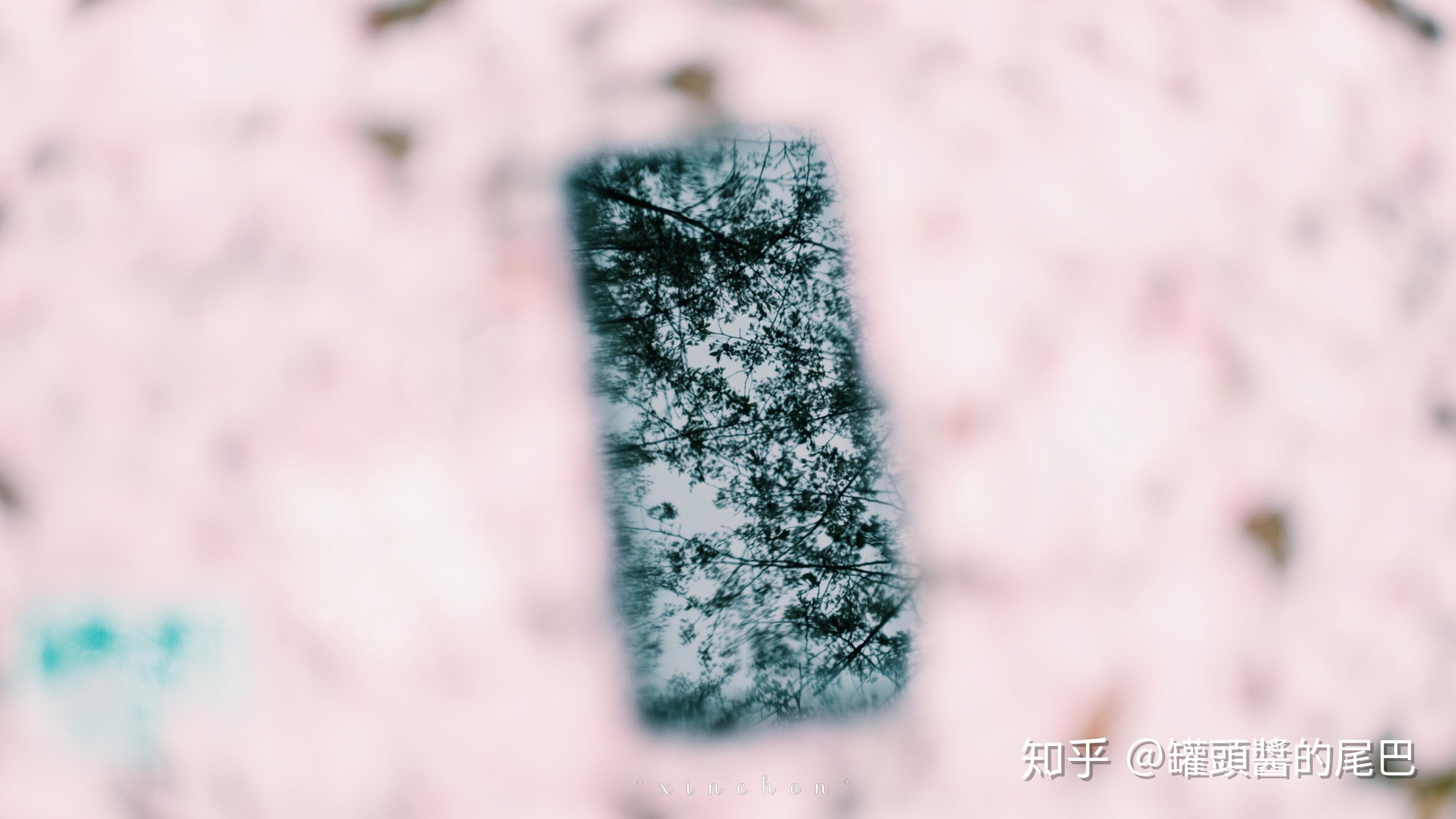 v2-f17b9f695c96556f8e02b1c110fa40d0_r.jpg