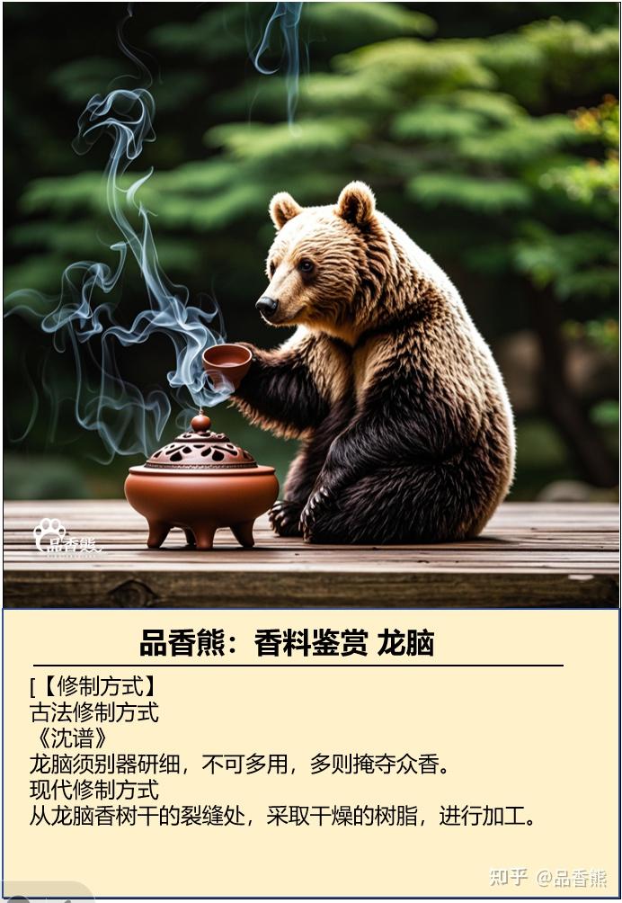 品香熊:传统基础香料鉴赏之龙脑 龙脑,又名婆律香、婆律膏、龙脑油 - 知乎
