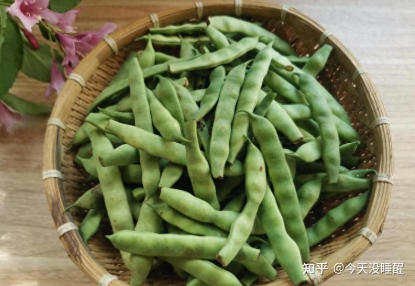 夏日“豆橛子”来袭:解密北方人的“噩梦”与美味 - 知乎