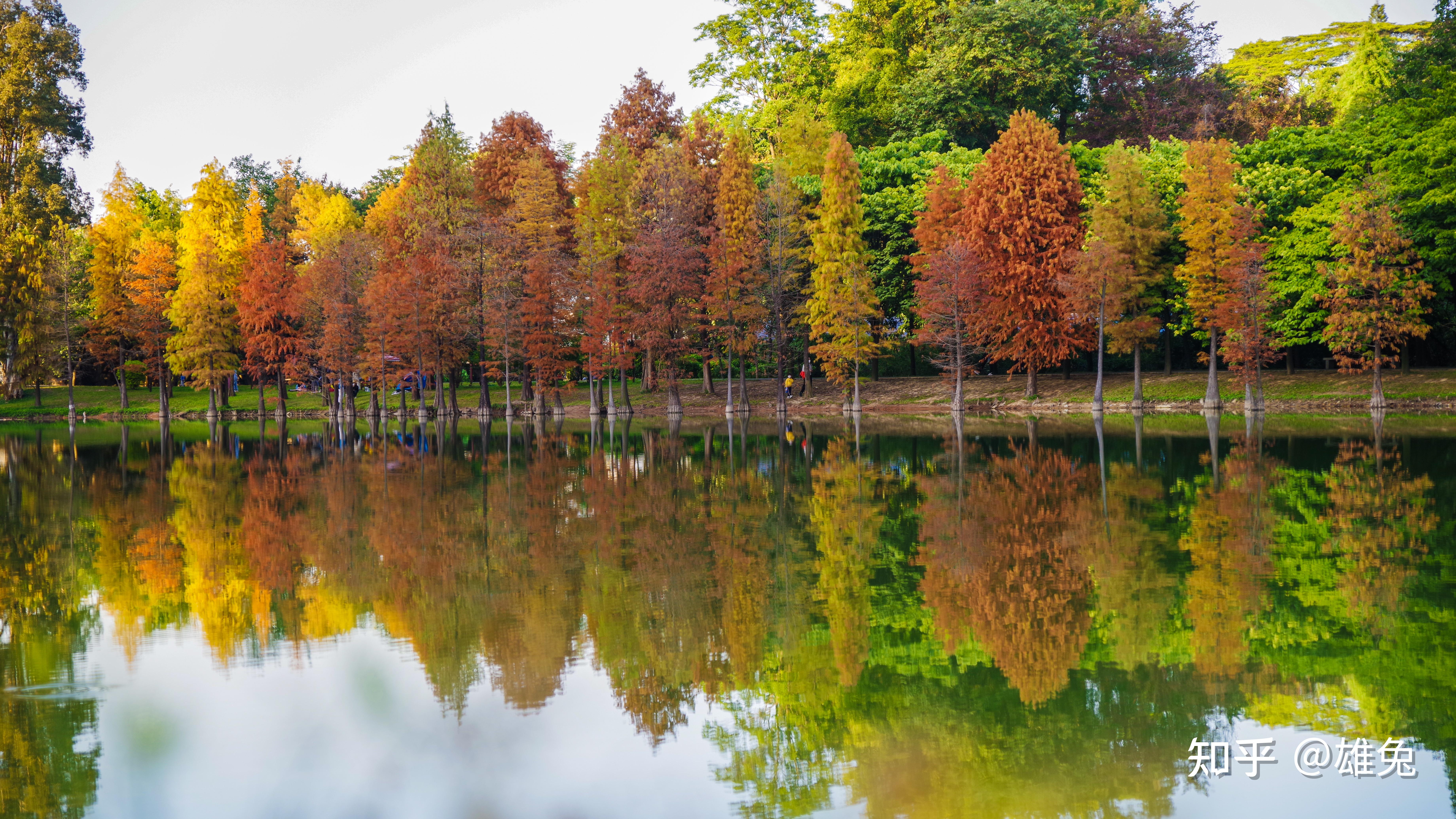 宾得k1 各镜头样张 - 知乎