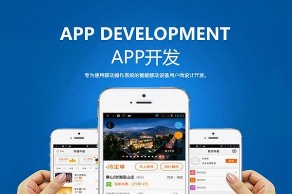 電商app定製開發哪家公司好