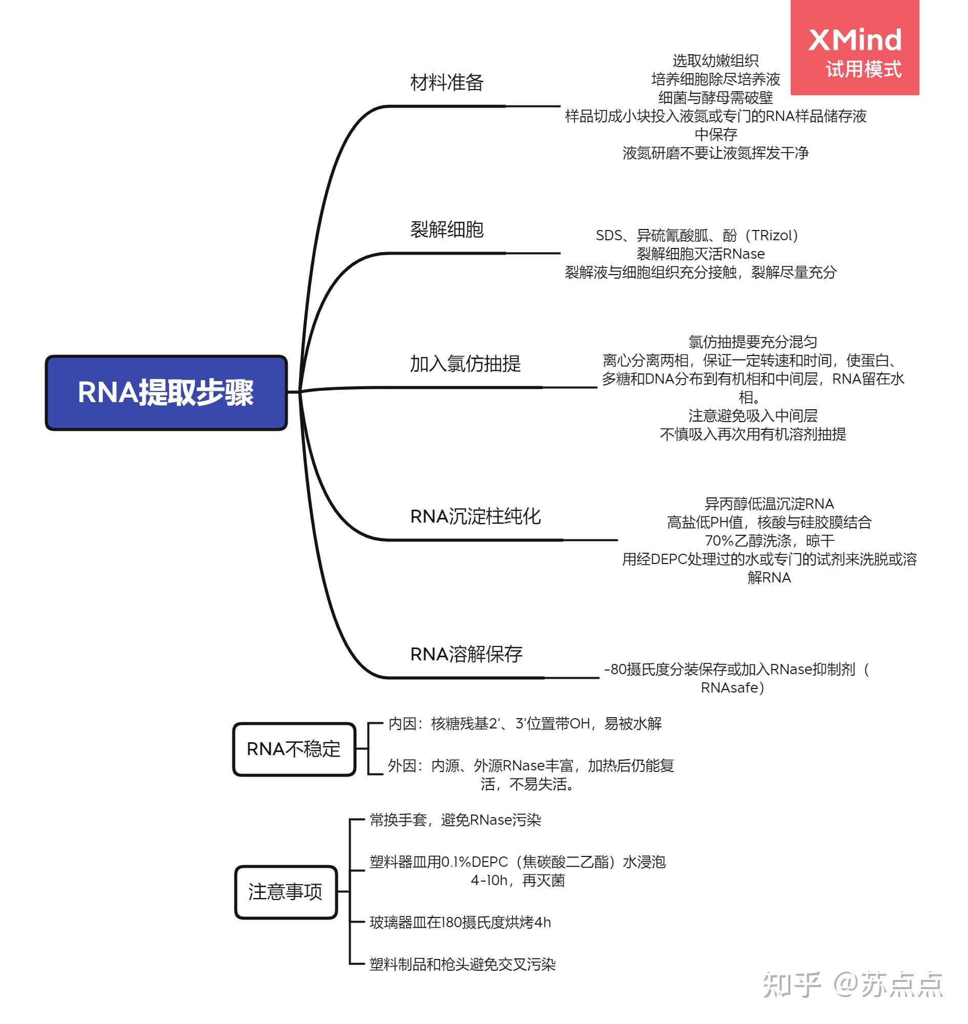 基因工程流程图图片